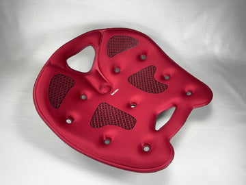 Products for Relieving Back Pain & Supporting Good Posture – The ...