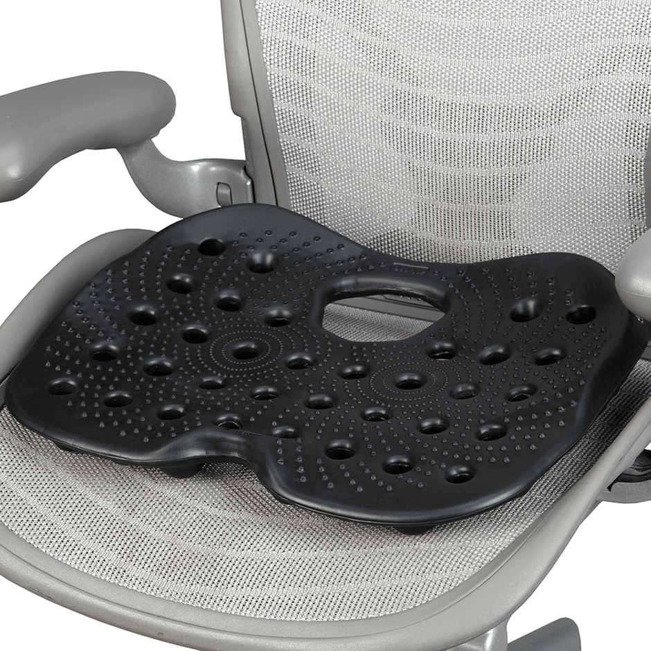 Sitting Support Products for Back Pain - Posture Support Products – The BackJoy Company