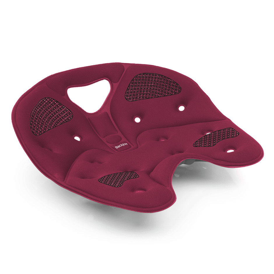 Back Pain Relief - Orthotic Spinal Alignment Action Anywhere You Sit ...
