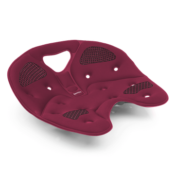 Back Pain Relief - Orthotic Spinal Alignment Action Anywhere You Sit ...